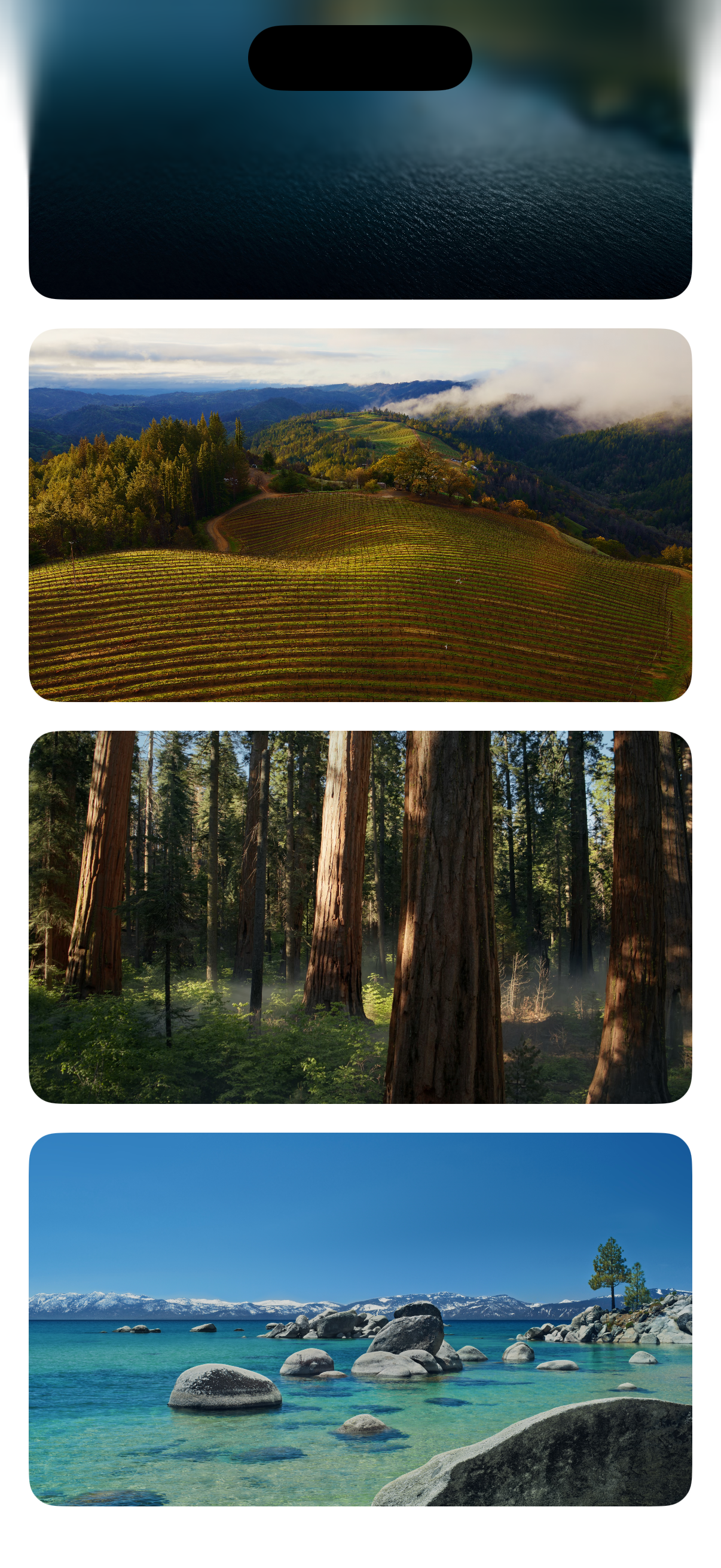 Xcode Preview Screenshot
